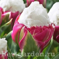 f1_6015bee2-8148-4a6b-96b2-afad2dcb5dc4