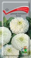 cinnia_lilliput_belaya cinnia_lilliput_belaya