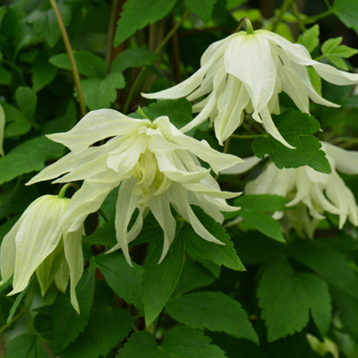 �������������������������������