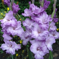 f1_14c6e312-0664-438e-8cac-8df0fc4431ca