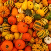 �������������������������������