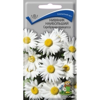 НоменклатураПрисоединенныеФайлы НоменклатураПрисоединенныеФайлы