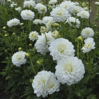 ���������0