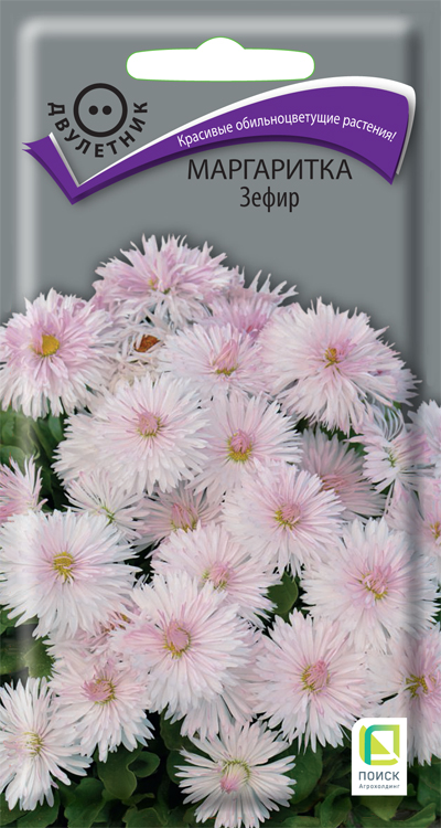 margaritka_zefir margaritka_zefir