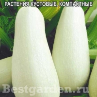 �������������������������������