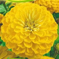 НоменклатураПрисоединенныеФайлы НоменклатураПрисоединенныеФайлы