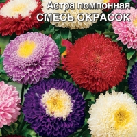 astra-pomponnaya-smes-okrasok