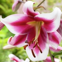 �������������������������������