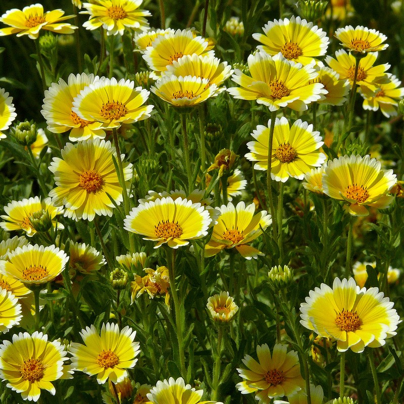 НоменклатураПрисоединенныеФайлы НоменклатураПрисоединенныеФайлы