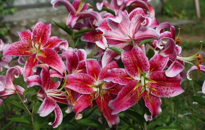 f1_622edca9-a6d4-4698-9bcf-7a407c549cc1 f1_622edca9-a6d4-4698-9bcf-7a407c549cc1