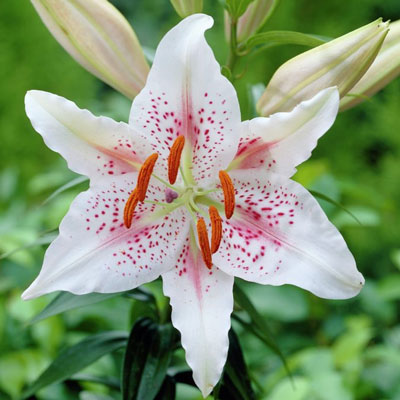 f1_5895c922-d5e6-495a-b3f8-7b56ee099ae3