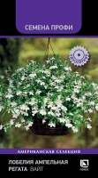 lobelia_ampelnaya_regata_white