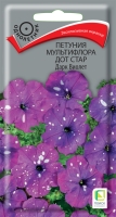 petunia_multiflora_dot_star_dark_violet