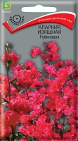 klarkia_izyashnaya_rubinovaya