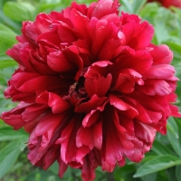 НоменклатураПрисоединенныеФайлы НоменклатураПрисоединенныеФайлы