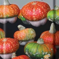 ����� ������������ ��������� ������