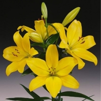 f1_d3921962-35f4-47b1-b6d4-8e7c6f4a3e13