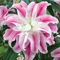 f1_34b77355-7e05-45fc-82b2-a726734991ab f1_34b77355-7e05-45fc-82b2-a726734991ab